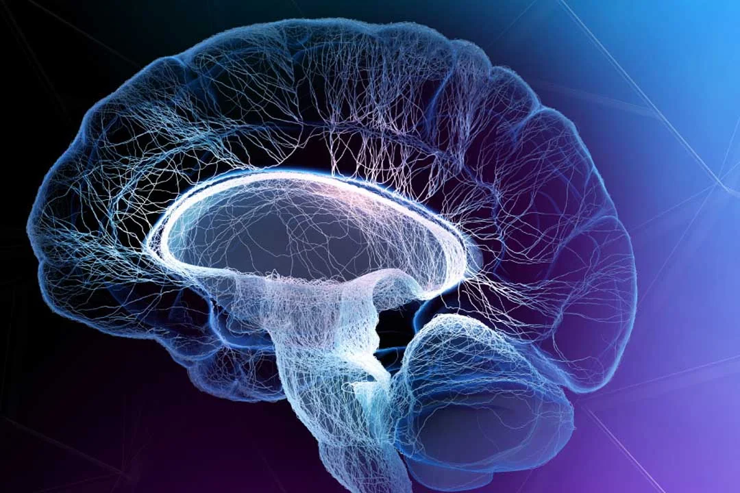 Mioto by van Mierlo Ingenieursbureau